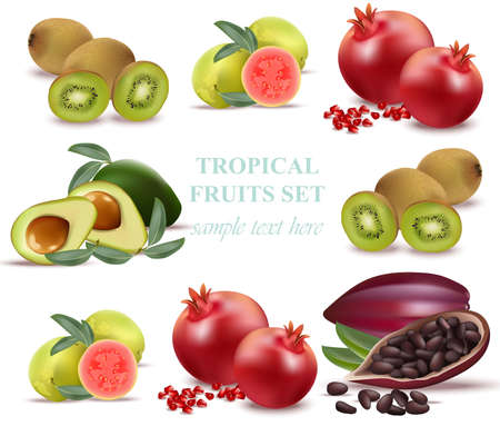 Summer fruits avocado, papaya, kiwi, pomegranate, fresh cocoa, guava Collection set Vectorのイラスト素材