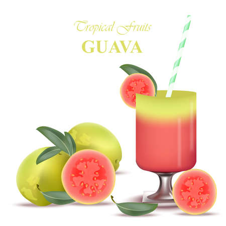 Smoothie Guava Vector exotic fruits cocktailのイラスト素材