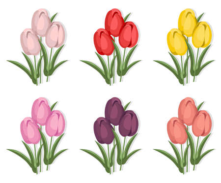 Vintage tulips flowers card vector background. Wedding invitation, springtime delicate decorのイラスト素材