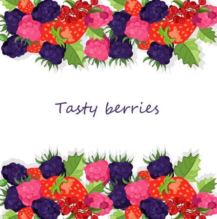 Blackberries illustration banner template.のイラスト素材