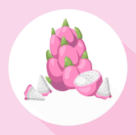 Pitaya fruits card exotic template. Vector Summer tropic themesのイラスト素材