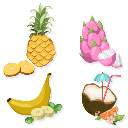 Tropic Fruits set collection Vector illustration. Fresh exotic coconut, pitaya, pineapple etcのイラスト素材