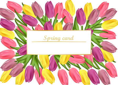 Tulips card realistic flowers illustrations for women day, wedding, birthday.のイラスト素材