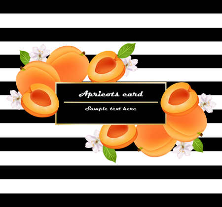 Juicy peach fruits card abstract striped background. Vector illustrations.のイラスト素材