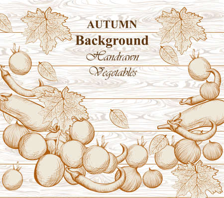 Autumn vegetables line artのイラスト素材