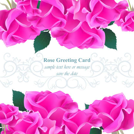 Wedding Invitation Card vector. Roses beauty flowers. Fuchsia pink colorsのイラスト素材