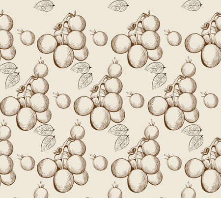Cherry tomatoes Vector hand drawn line art. Graphic style illustrationsのイラスト素材