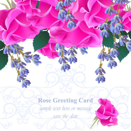 Wedding Invitation Card vector. Roses and lavender flowers. Fuchsia pink colorsのイラスト素材