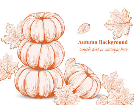 Pumpkin pattern background. Vector Line art hand drawn graphic style illustrationのイラスト素材