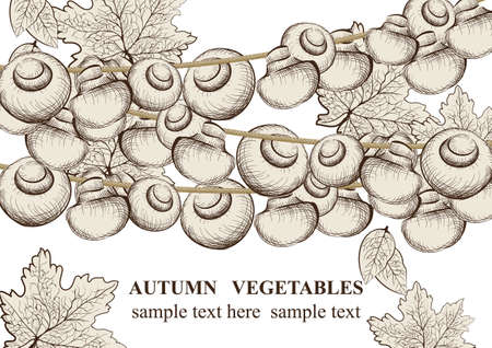 Vegetables on wood background. Vector background. Line art hand drawn graphic style illustrationのイラスト素材