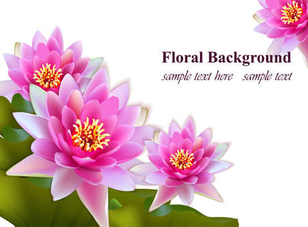 Pink Water lily flowers realistic on white background Vector illustrationのイラスト素材