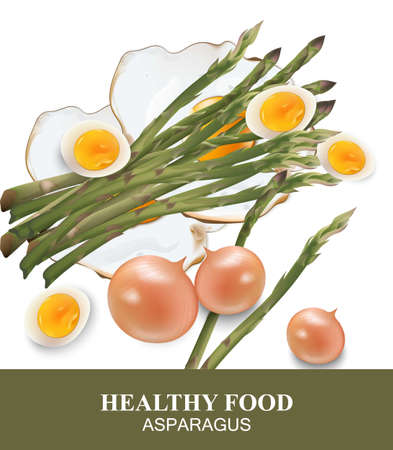 Asparagus and eggs Healthy food Vector illustration for menu.のイラスト素材