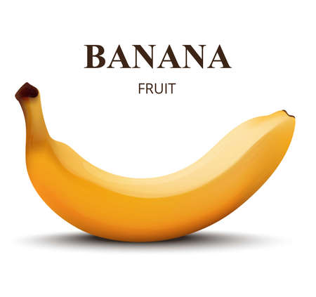 Banana fruit realistic styleのイラスト素材