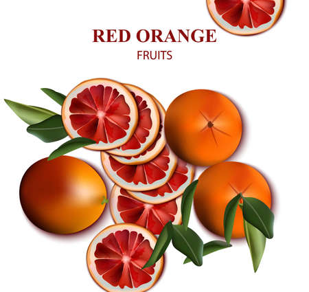 Red orange fruits isolated on white Vector illustrationのイラスト素材