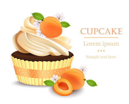 Apricot Cupcake isolated on a white background. Vector realistic dessert. Summer delicious treatのイラスト素材