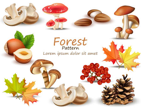 Forest theme set with mushrooms, nuts, leaves, pinecone Vector illustrationのイラスト素材