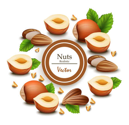 Template label design illustration with realistic nuts.のイラスト素材