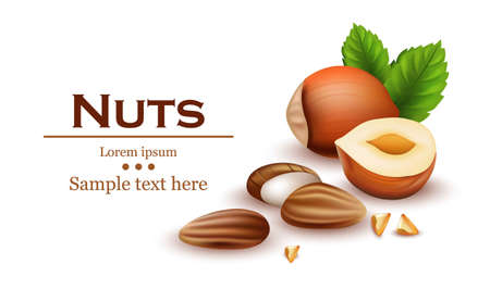 Template label design illustration with realistic nuts.のイラスト素材