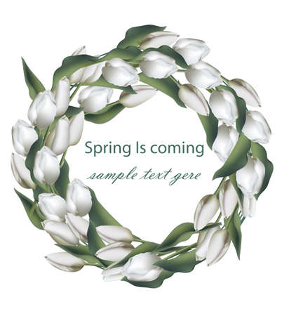 Spring wreath with white tulip flowers Vector realisticのイラスト素材