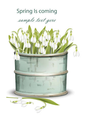 Snowdrops bouquet. Spring card Vector realisticのイラスト素材