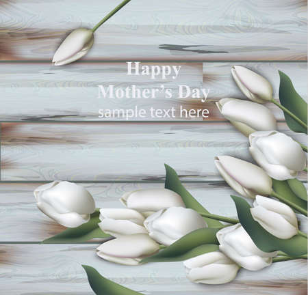 White tulips card Vector realistic. Happy mother day. Spring backgroundsのイラスト素材