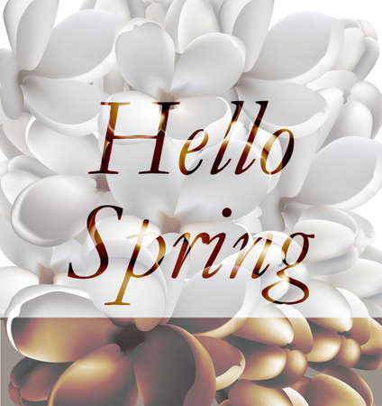 Spring white flowers card Vector realistic background