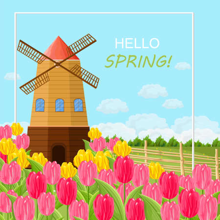 Spring card with tulips and a mill. Vectorのイラスト素材