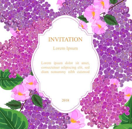 Lilac flowers invitation card Vector illustrationのイラスト素材