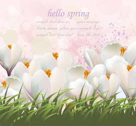 Hello spring flowers card Vector. Watercolor white flowers and grass. Lovely greeting colorful splash illustration backgroundsのイラスト素材