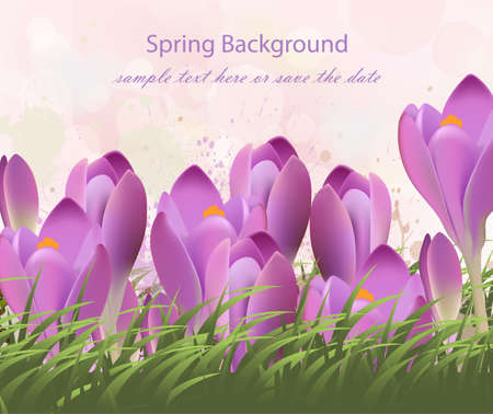 Spring background with purple tulips Vector. Watercolor flowers and green grass. Lovely greeting colorful paint splash illustrationsのイラスト素材