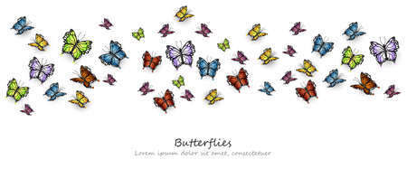 Colorful Butterflies pattern. Vector background illlustration templateのイラスト素材