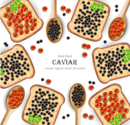 Caviar Vector realistic. Red and black caviar toasts. Top view 3d detailed illustrationのイラスト素材