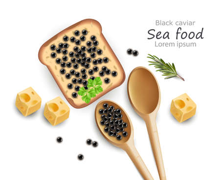 Black Caviar toast Vector realistic. Top view 3d detailed illustrationのイラスト素材