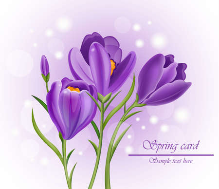 Crocus ultra violet flowers bouquet vector illustrationのイラスト素材