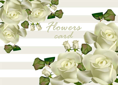 White roses flowers card Vector realistic. Beautiful floral backgroundのイラスト素材