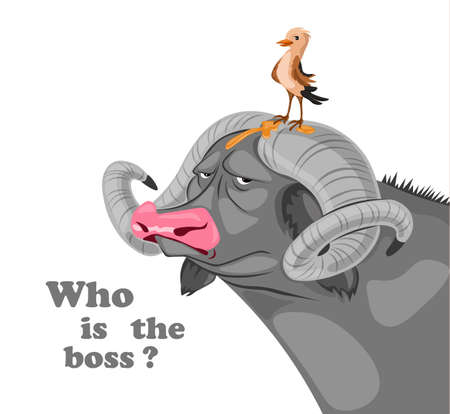 Bird sitting on a buffalo head Vector. Who is the boss concept. Funny comic illustrationsのイラスト素材