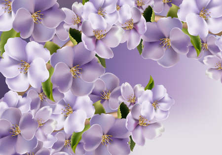 Violet flowers background Vector realistic. Spring floral background 3d illustrationsのイラスト素材