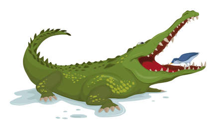 Crocodile and a bird Vector. Cartoon character illustrationsのイラスト素材