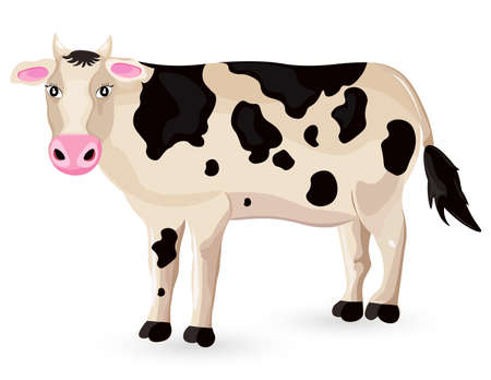 Cow isolated on white Vector. Cartoon character detailed illustrationsのイラスト素材