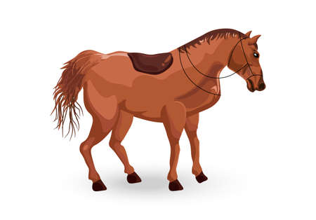 Horse isolated Vector. Detailed animal illustrationのイラスト素材
