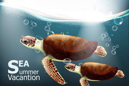 Galapagos turtles Vector. Summer undersea card with cute turtlesのイラスト素材