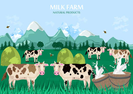 Milk farm concept. Cows green field background. Vectorのイラスト素材