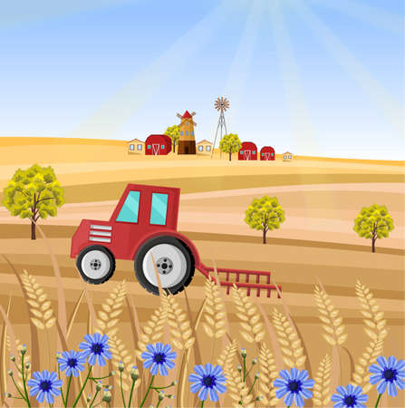 Tractor at the farm Vector illustration. Wheat field stalk. Provence harvest backgroundsのイラスト素材