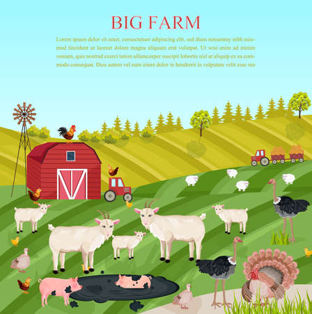 Goats, pigs and chicken animals at the farm Vector. summer green backgroundのイラスト素材