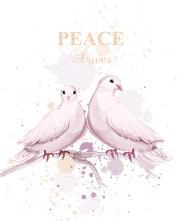 Watercolor doves birds Vector. Peace card delicate design posterのイラスト素材
