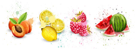 Watercolor fruits set Vector. Apricot, lemon, raspberry and watermelon delicious illustrationのイラスト素材