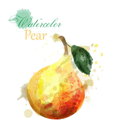 Pear watercolor isolated Vector. Juicy colorful fruits illustrationのイラスト素材