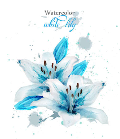 Beautiful blue lily flower Vector. Delicate floral decor. Paint splash on backgroundのイラスト素材