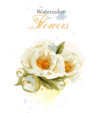 Watercolor wild rose flower blossom Vector. Vintage greeting, or wedding invitation. Summer floral decoration bouquetのイラスト素材