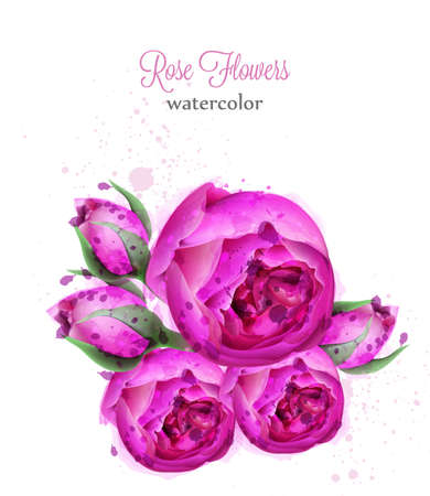 Rose flowers watercolor wreath Vector card. Beautiful blooming flowers decors isolated on whitesのイラスト素材